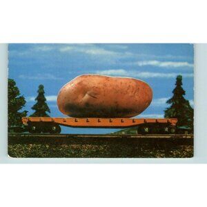 Postcard A Maine Potato on a train's pull car toy Photography vintage